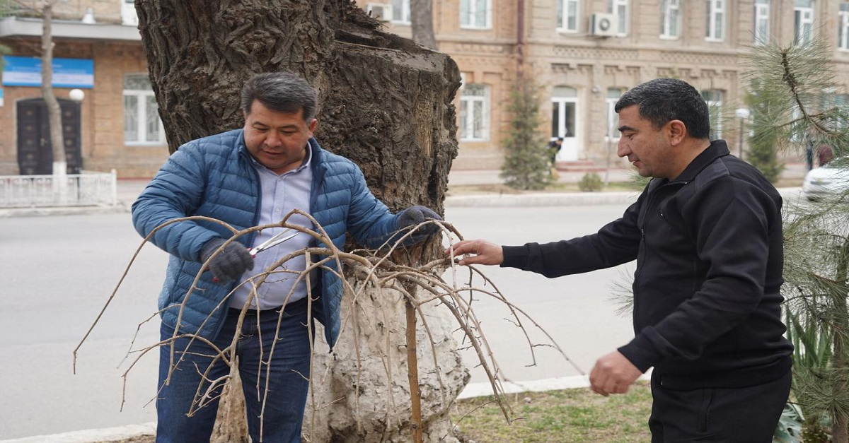 A nationwide charity khashar is held at Samarkand State Medical Institute