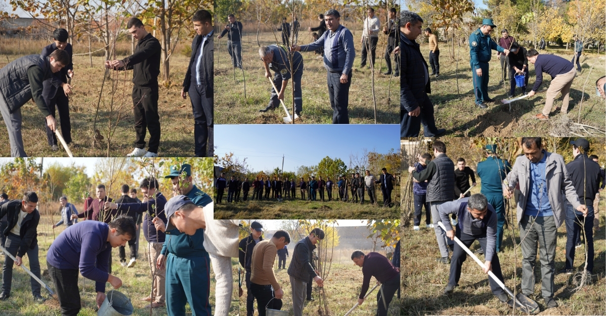 Planting of seedlings was carried out within the framework of the national project 